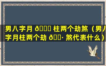 男八字月 🐒 柱两个劫煞（男八字月柱两个劫 🕷 煞代表什么）